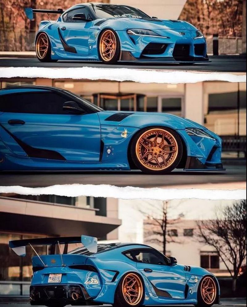 vossen 1.jpg